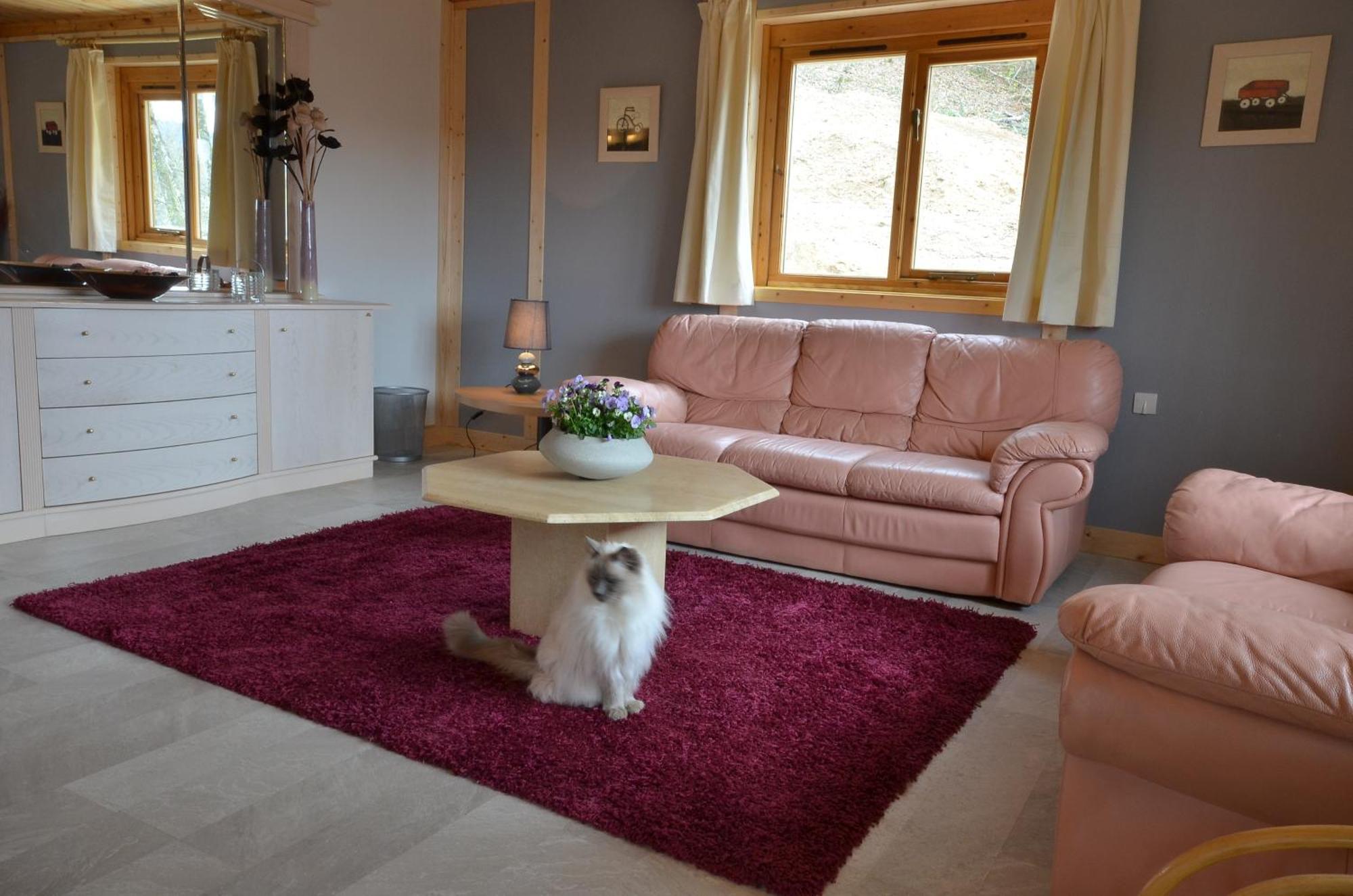 Treignac Woodlands Cottage מראה חיצוני תמונה